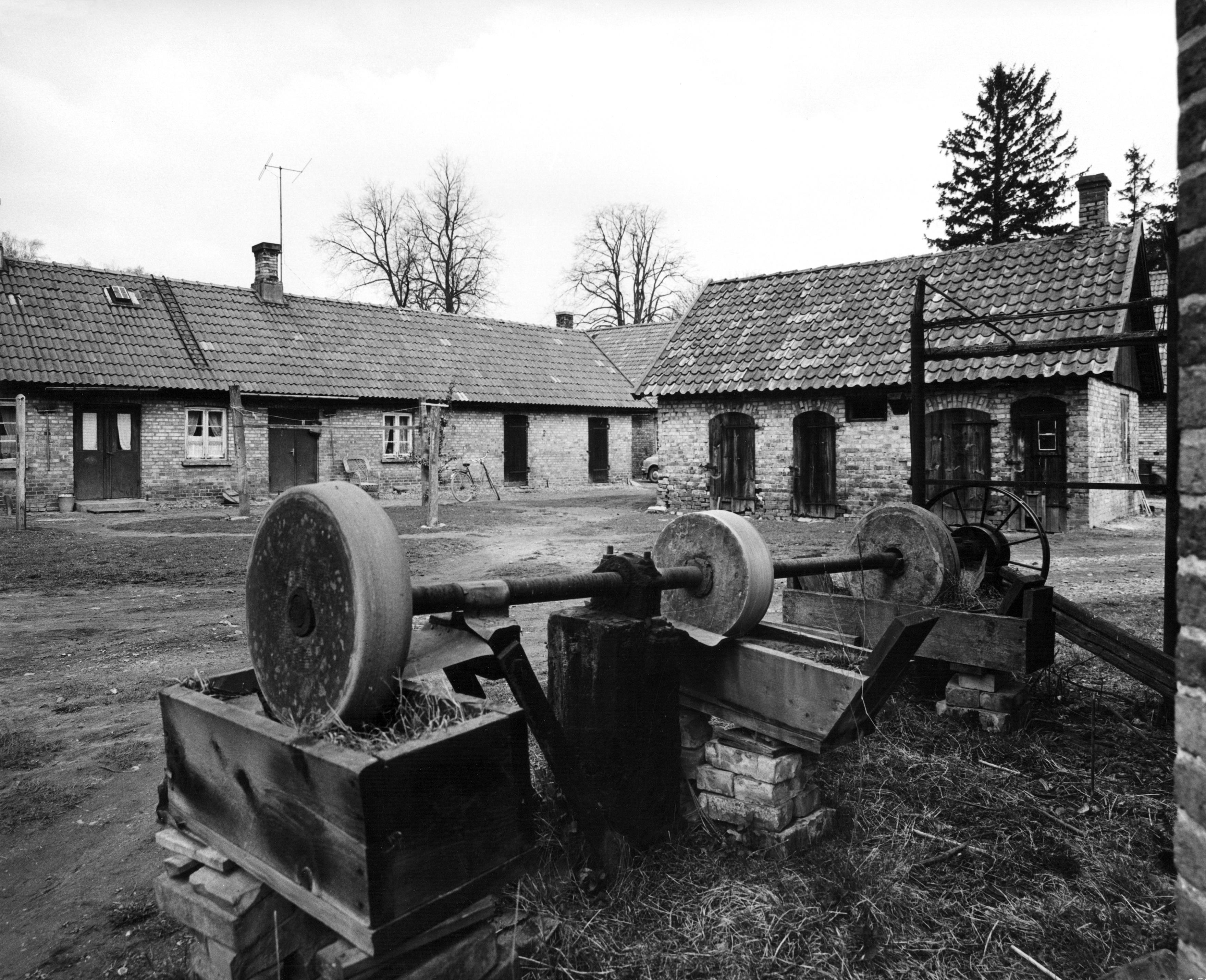 Pål-Nils Nilsson, Rögle