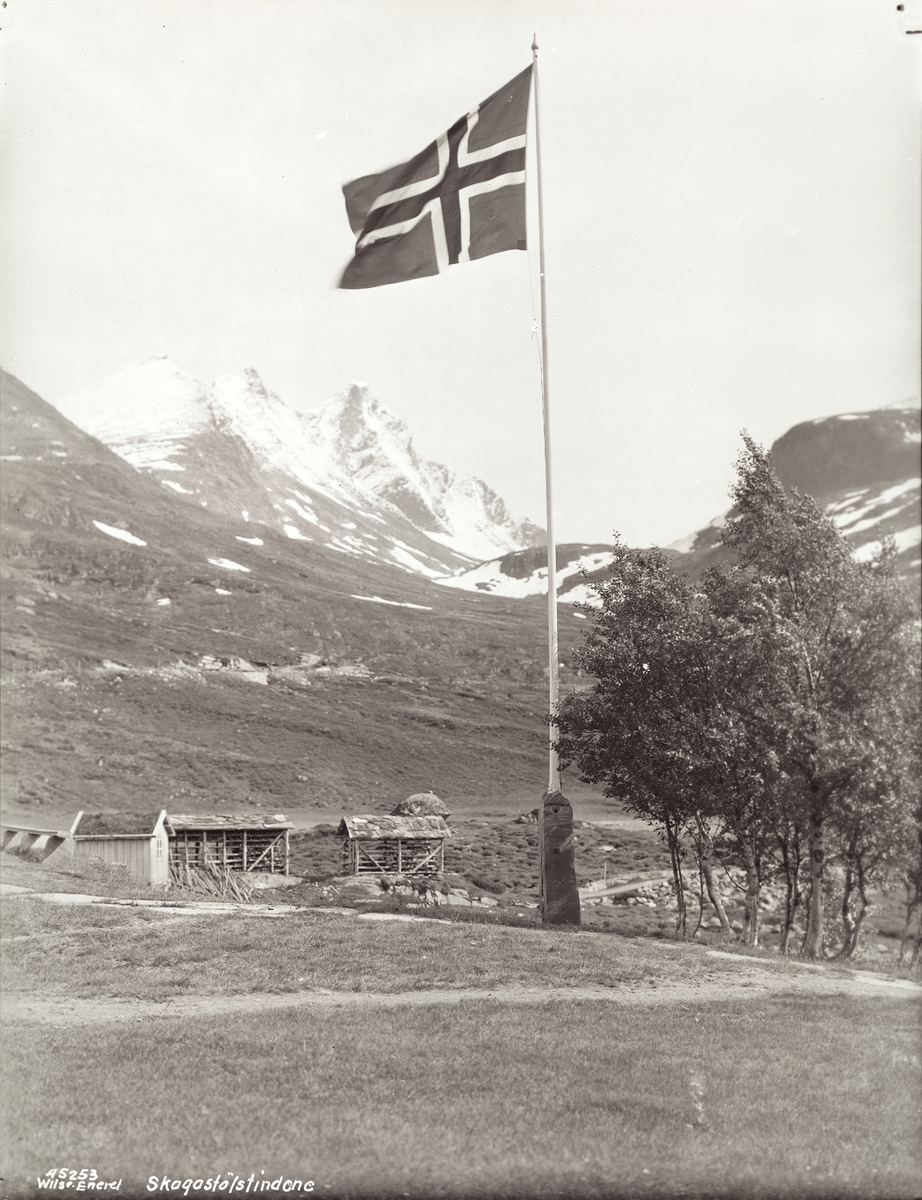 Anders Beer Wilse, Prot: Turtagrø hotel Skogstøltindene