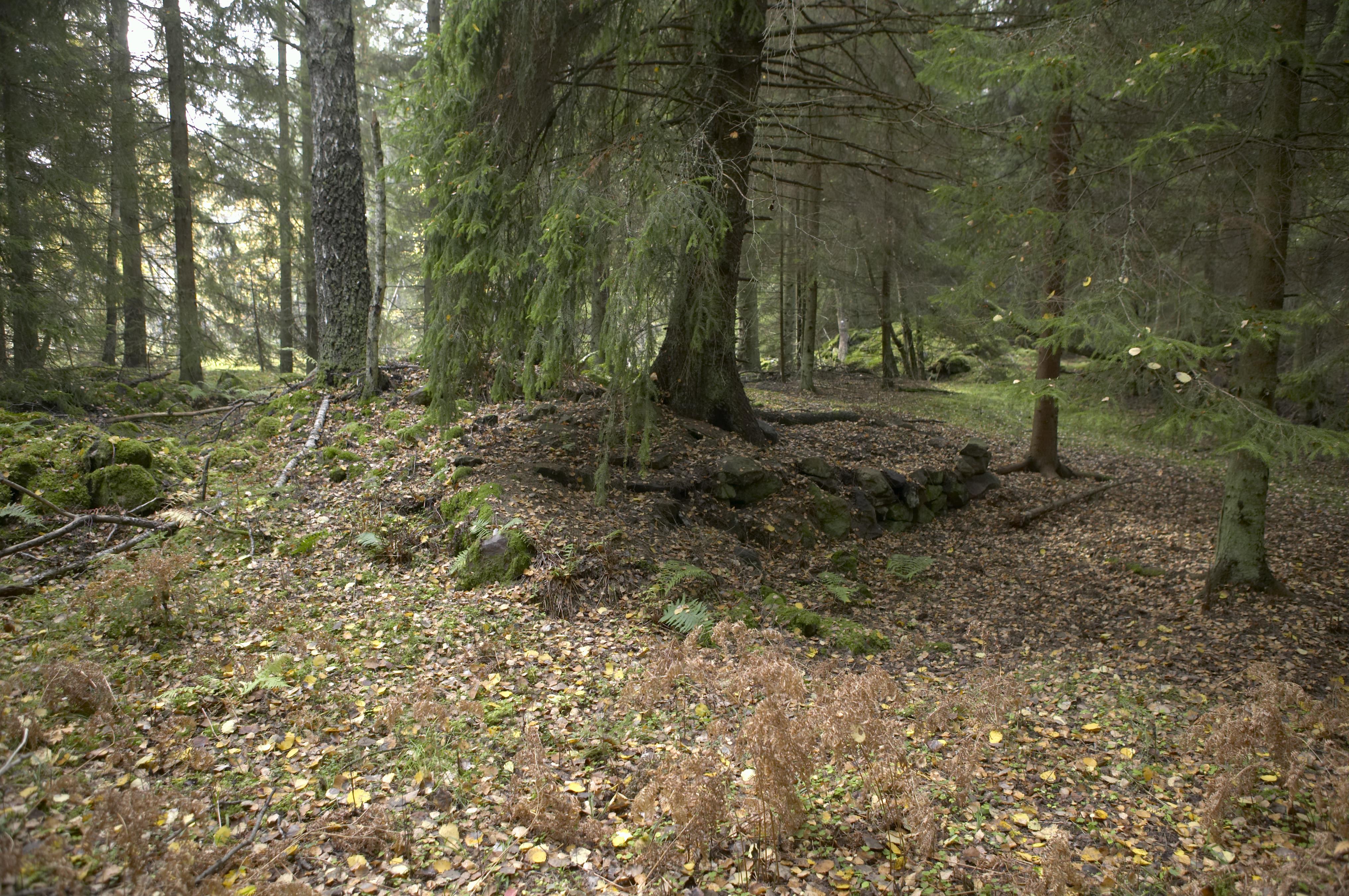 Bengt A Lundberg, Bockaskruv