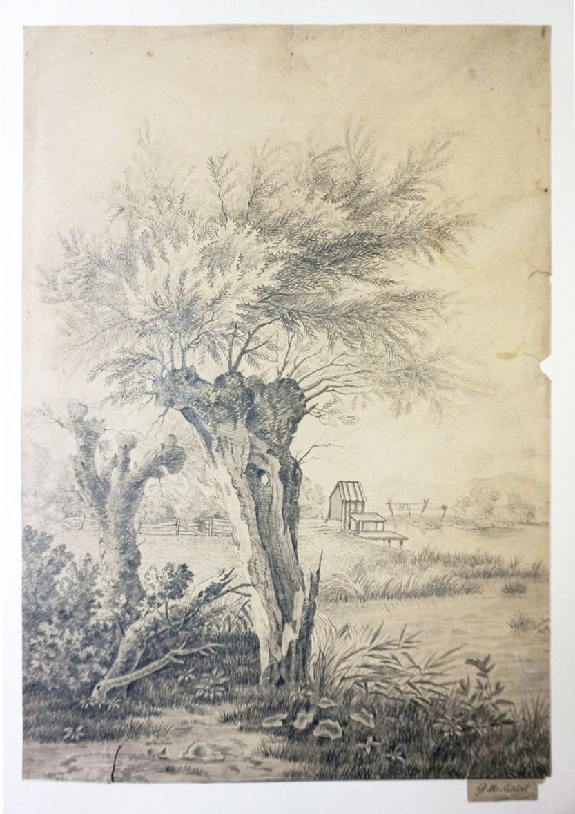 Georg Maria Eckert, Georg Maria Eckert: Alte Weide