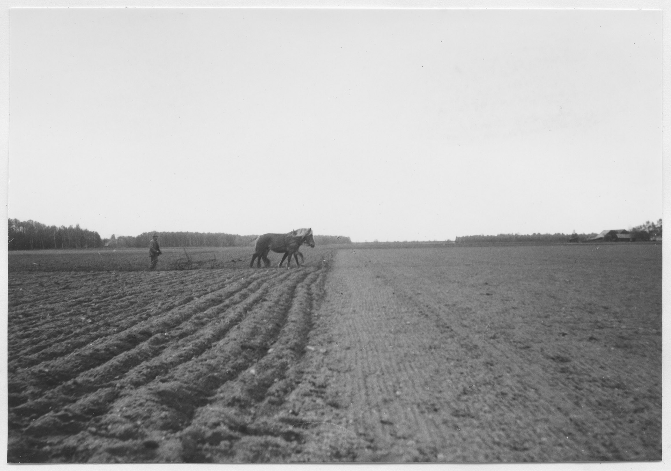 Mårten Sjöbeck, Nosabysjön