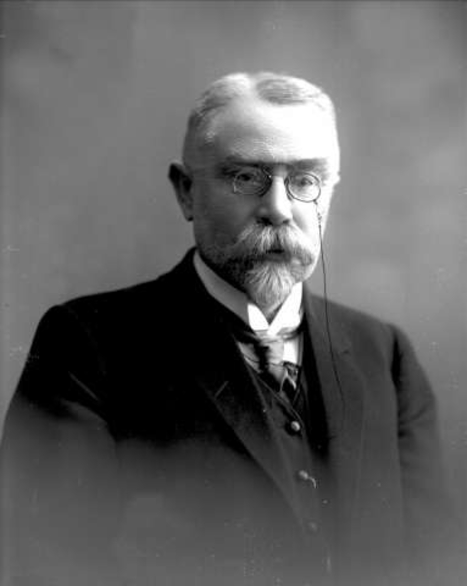 Gustav Borgen, Portrett, eldre mann i mørk dress. Professor Theod Morgenstierne