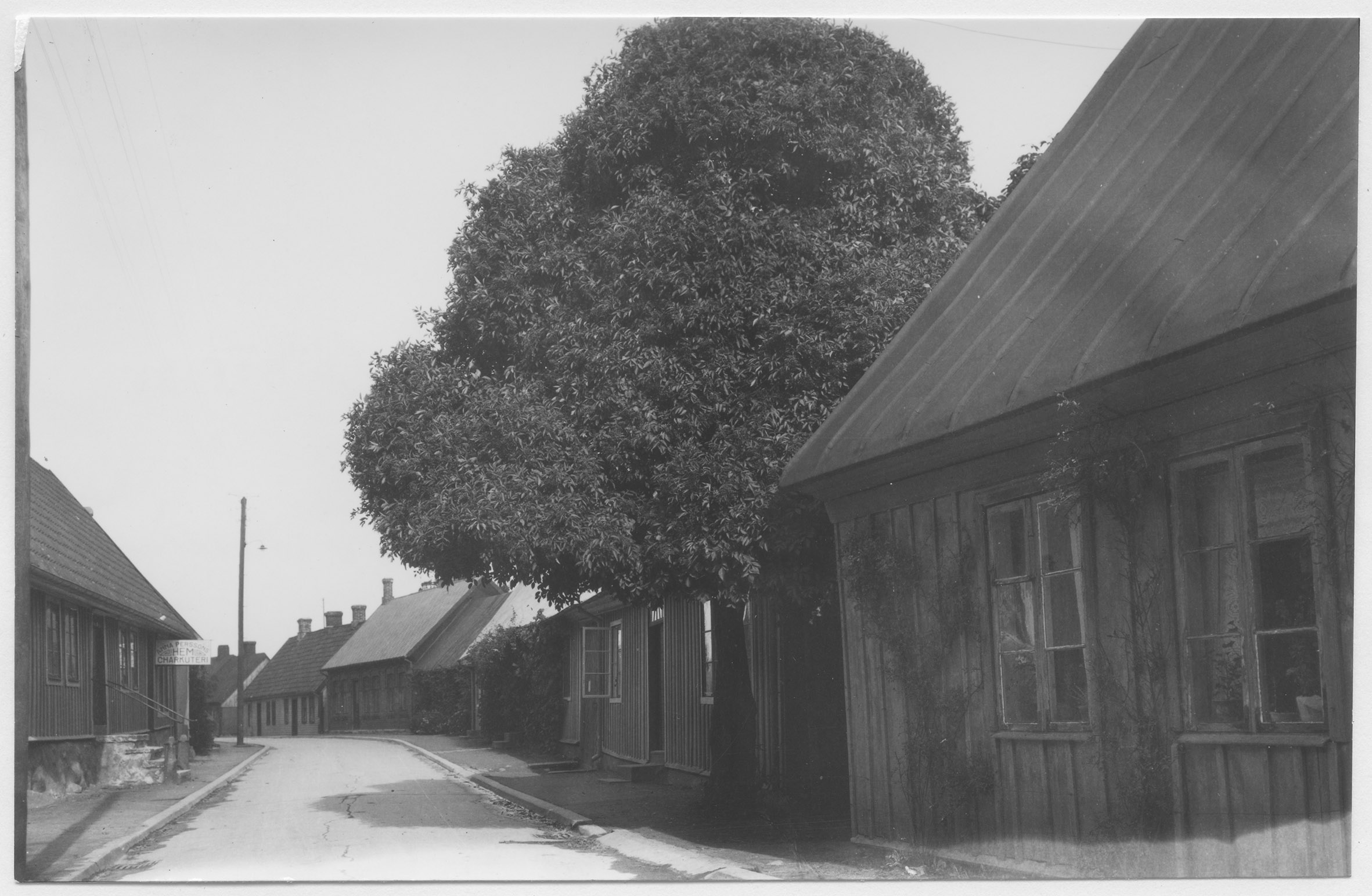 Mårten Sjöbeck, Båstad