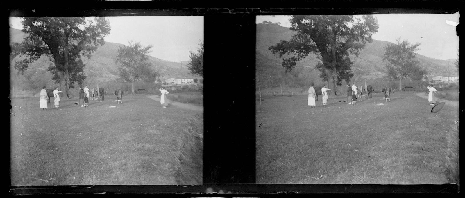 Desconegut, [Field]