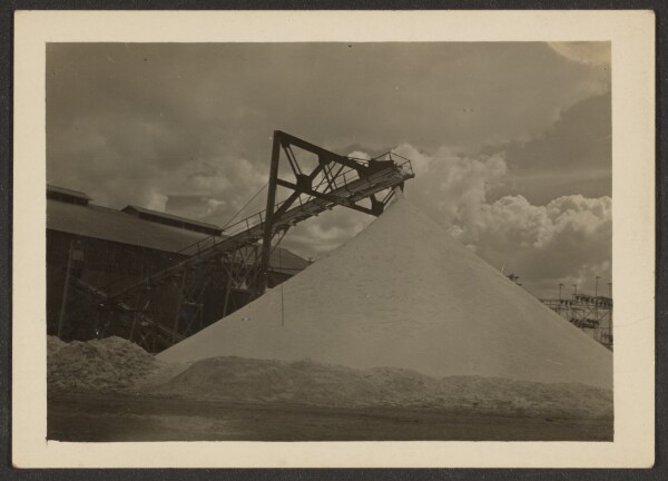 Louis Fleckenstein, [Borax Mill, Trova, CA]