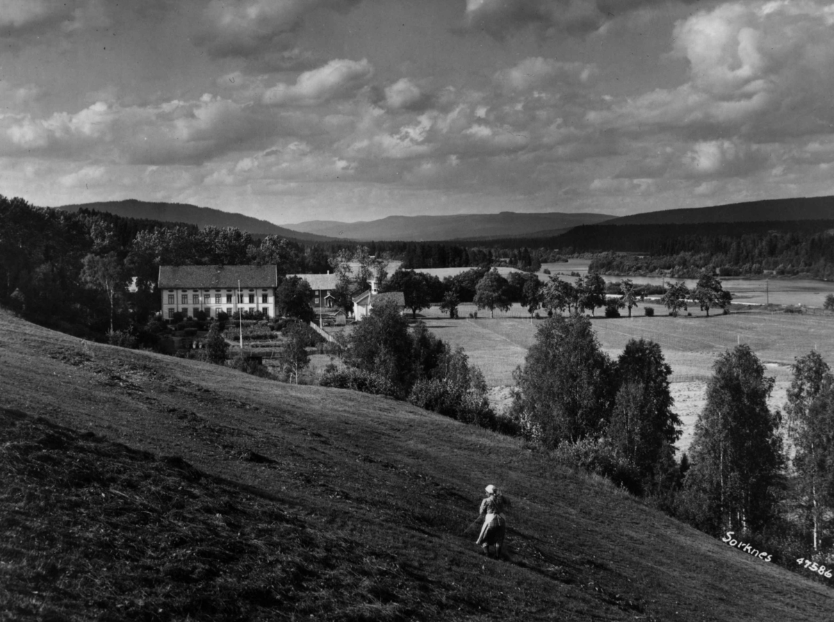 Anders Beer Wilse, Sorknes gård, Landbruk