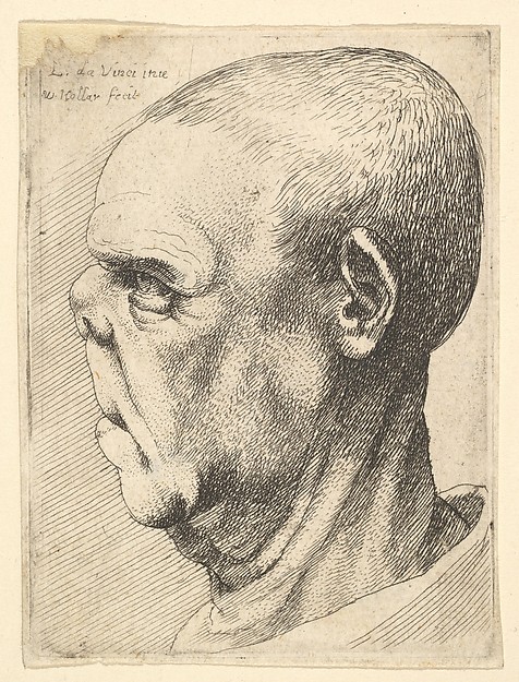 Wenceslaus Hollar, Grotesque old man with flattened nose in profile to left