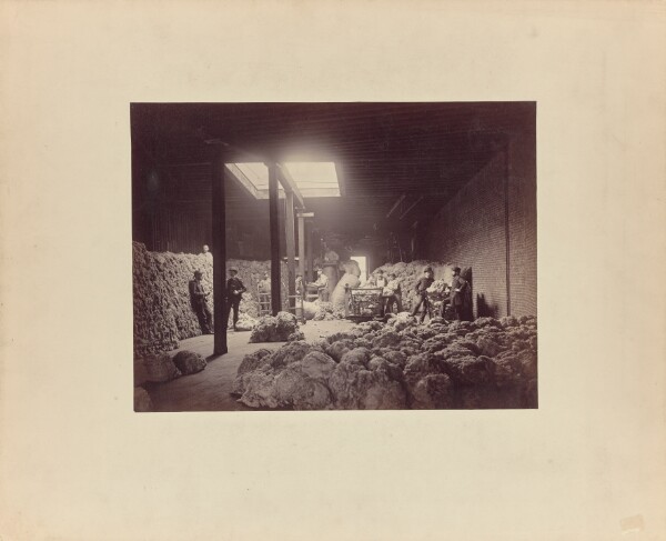 Unknown, [Interior of wool sorting house, Walter Brown and Company]