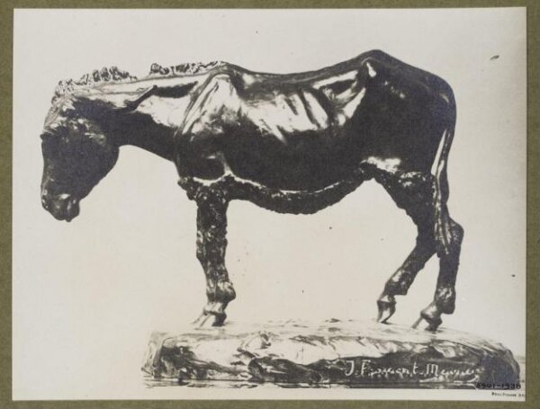 unknown, Photograph