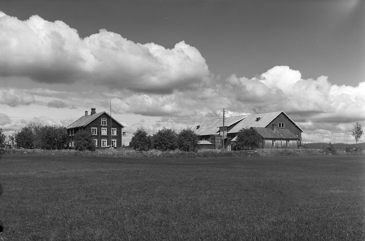 Anno Domkirkeodden, EKSTR: GARDSTUN, VØLESTAD ØVRE. Se Løtenboka, bind 1. Bygdeboka fra 1949, side 369