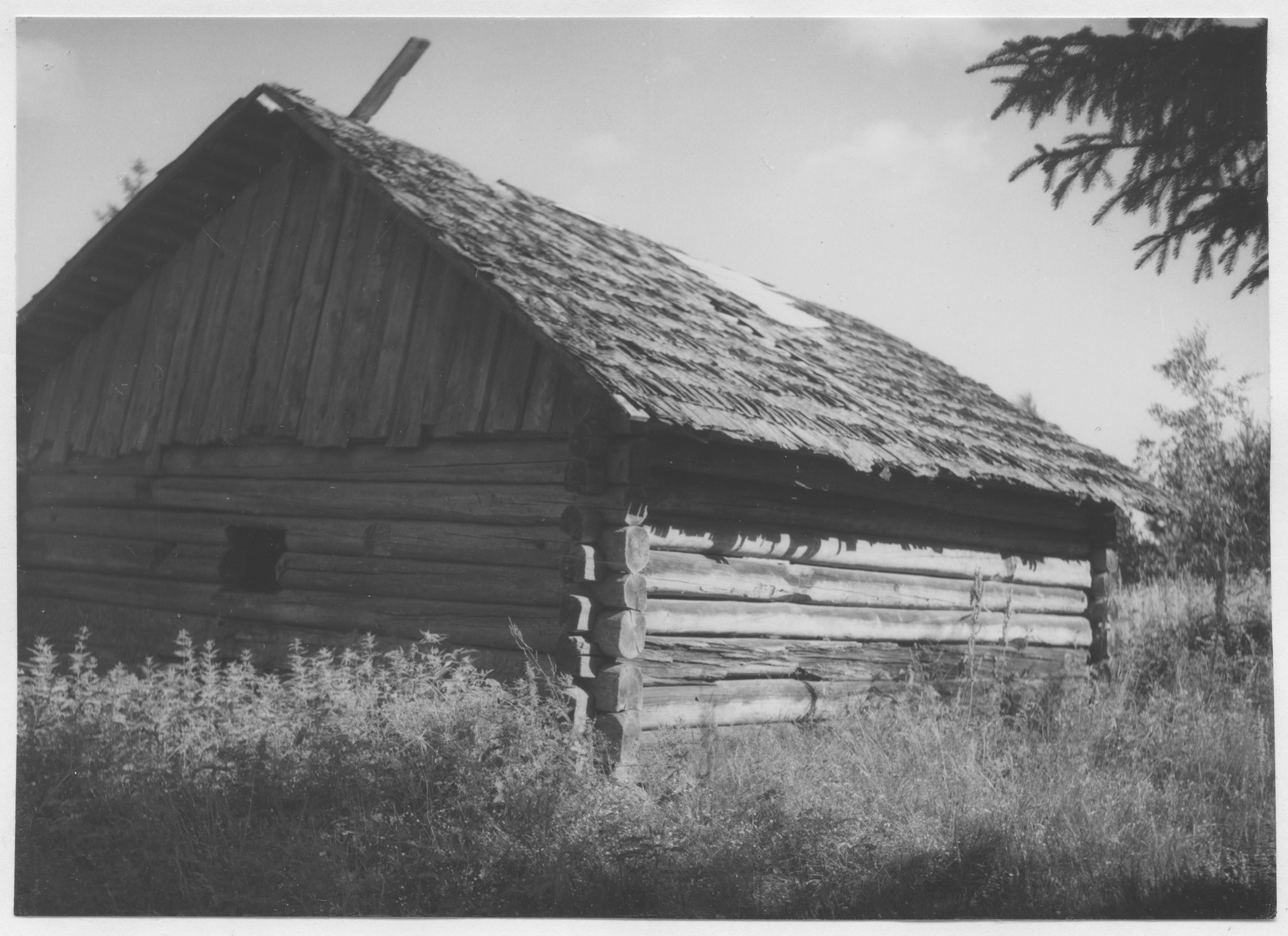Mårten Sjöbeck, Asslerud