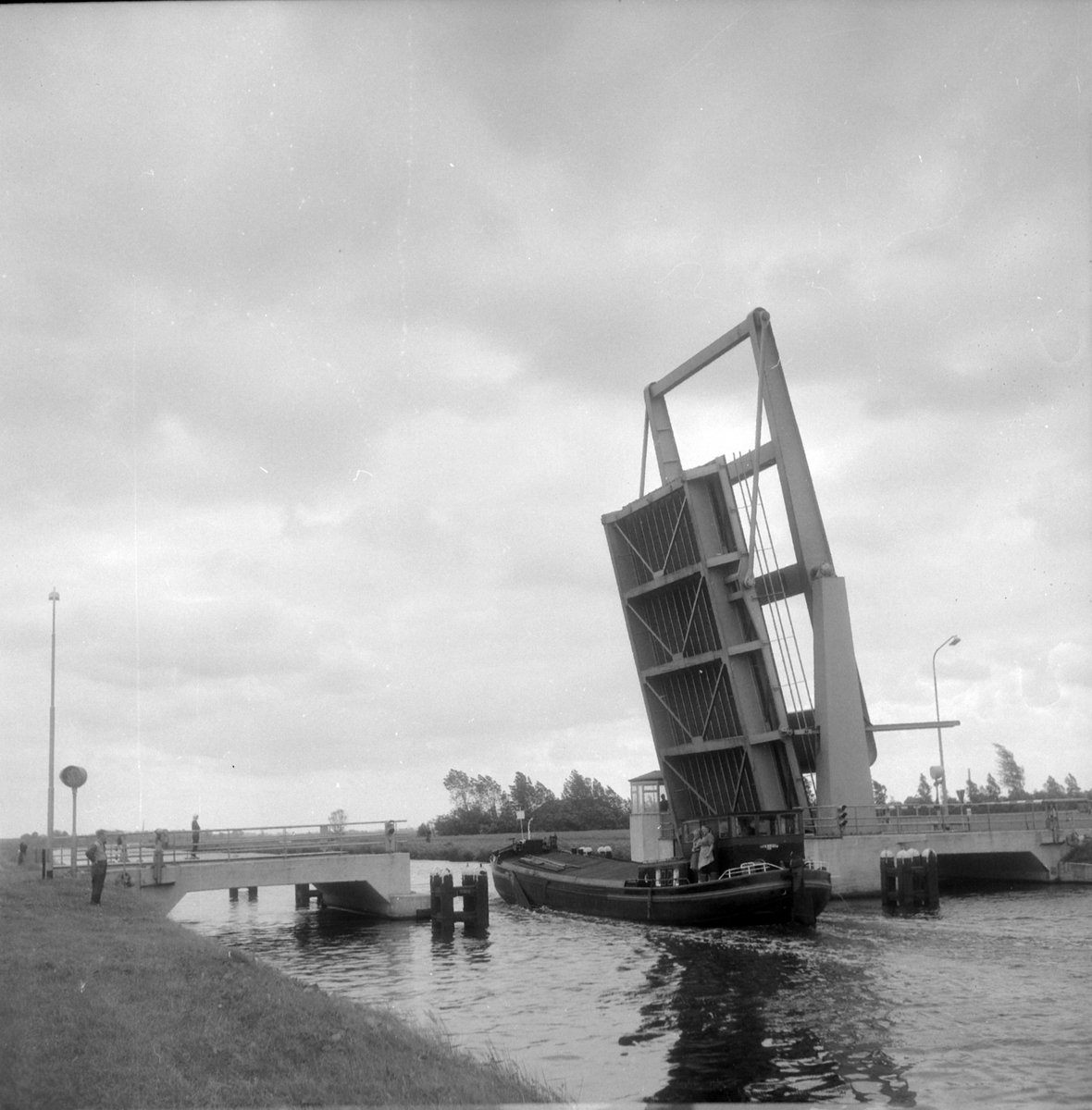 Adolf Skjegstad, ASK-04536