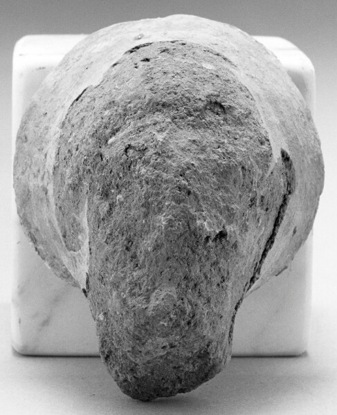 Unknown, Female Head