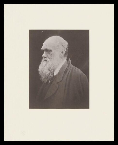 Cameron, Julia Margaret, Charles Darwin