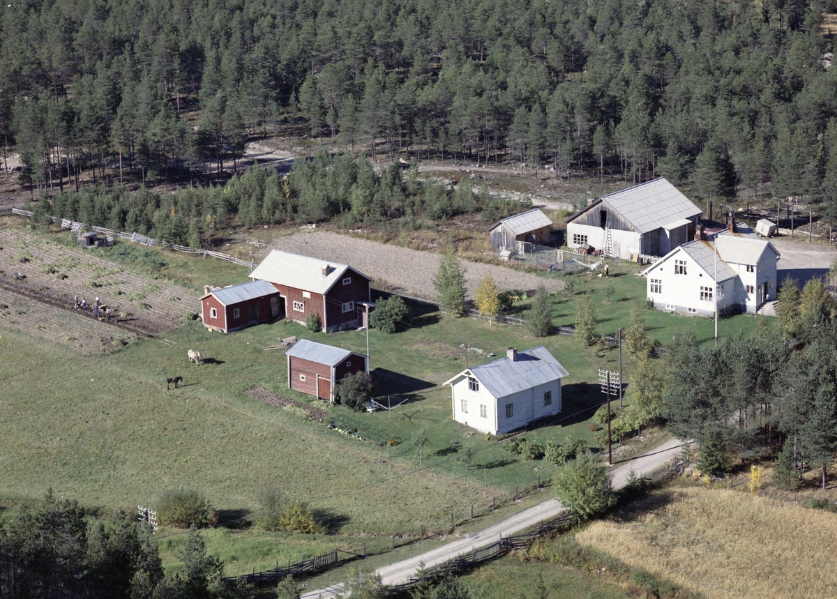 Widerøes Flyveselskap A/S, Gardsbruk
