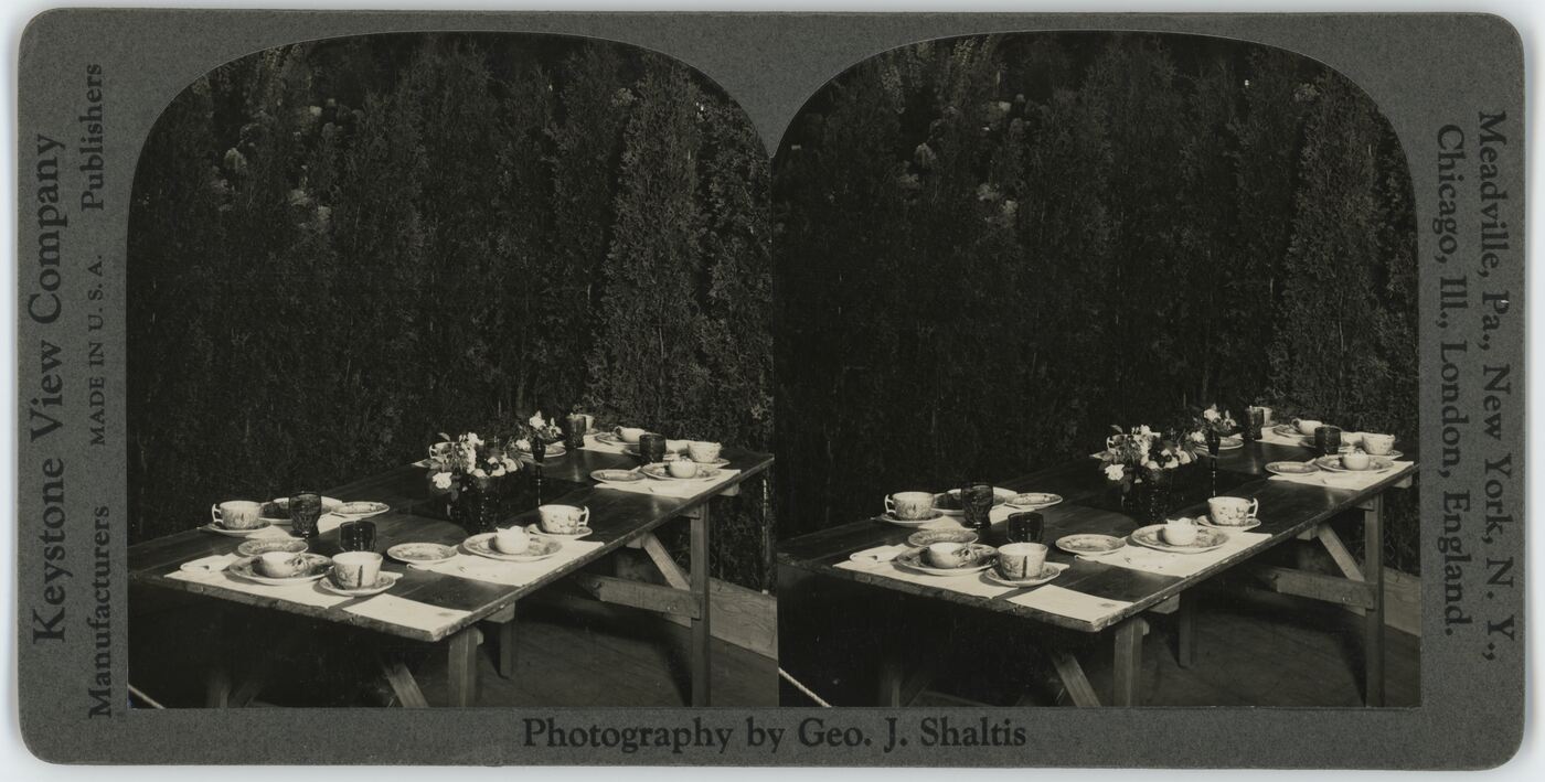 Geo. J. Shaltis, Paserviruotas stalas