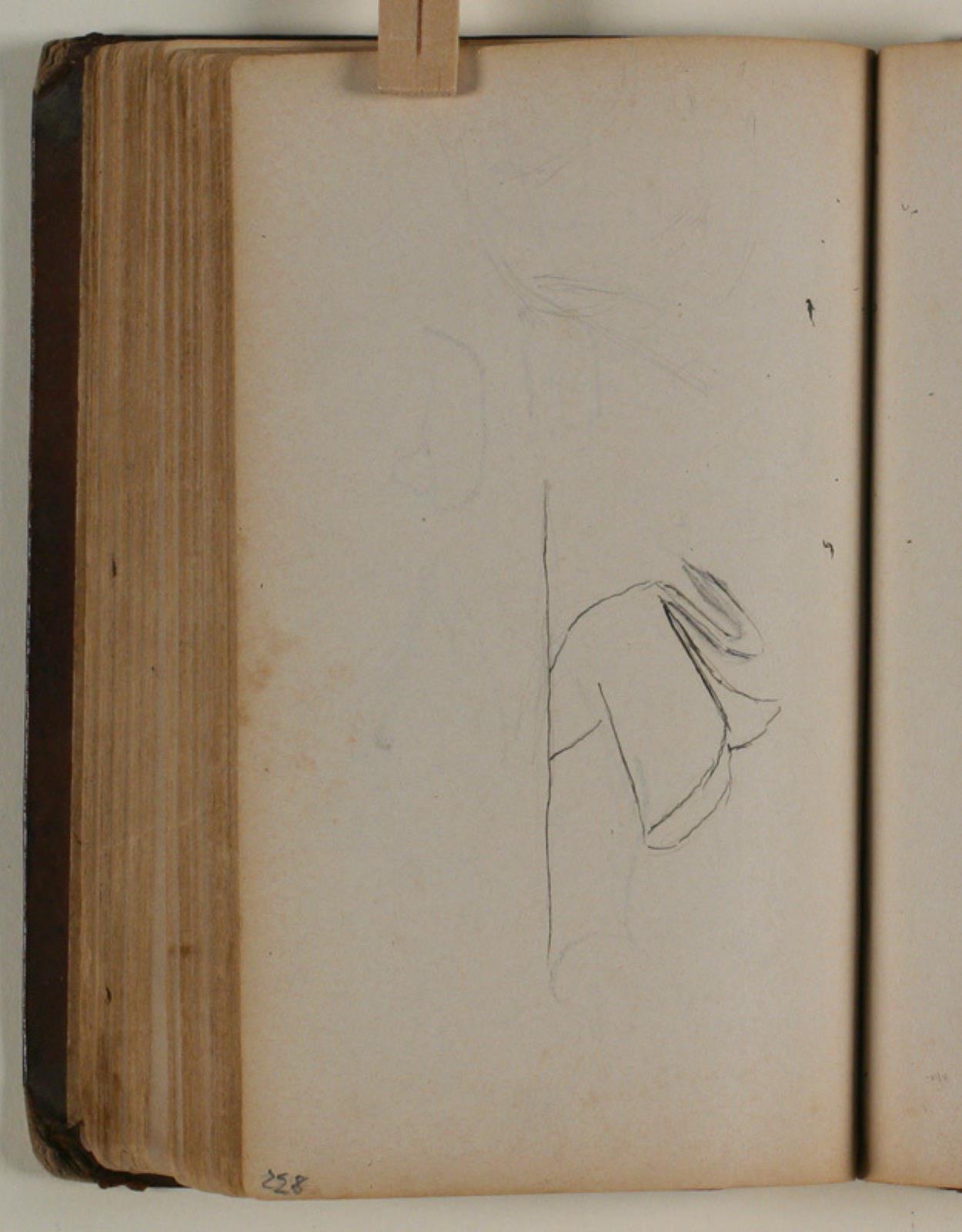 Niels Larsen Stevns, Studie af svane