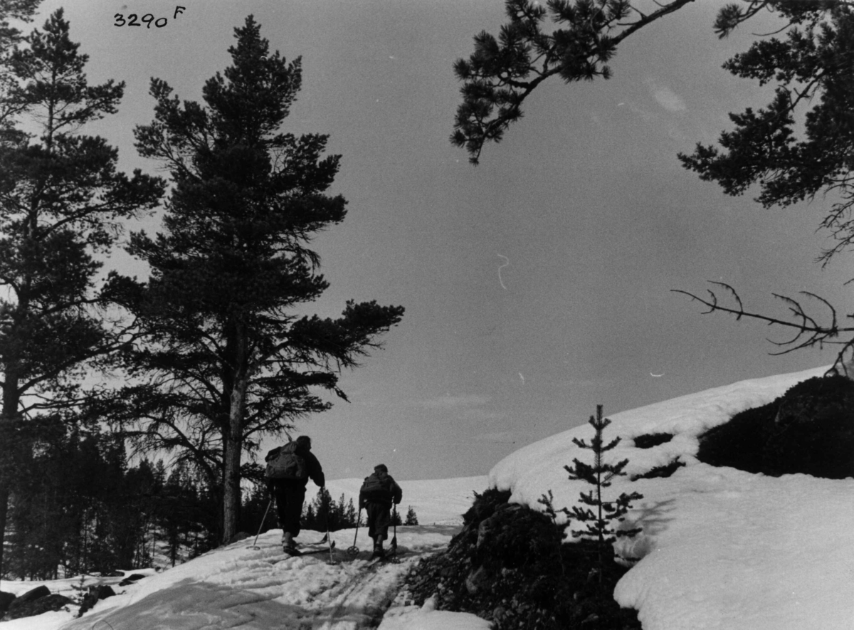 Anders Beer Wilse, Skiløpere ved Visdalen i Jotunheimen.