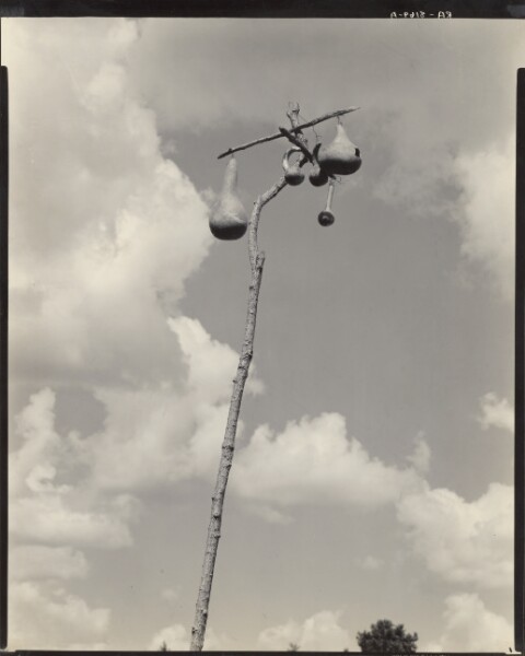 Walker Evans, A Gourd Tree for Martins, Hale Co., Alabama