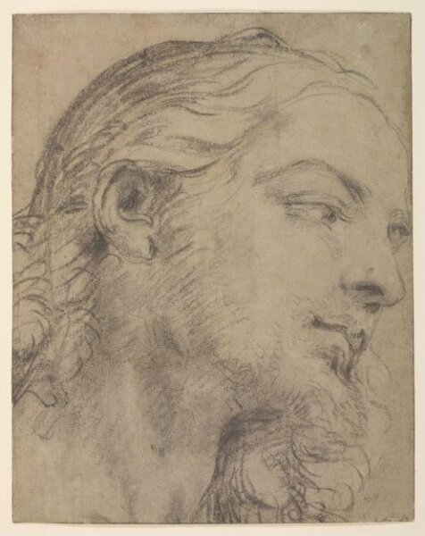 Carlo Maratta, Head of a bearded young man in profile