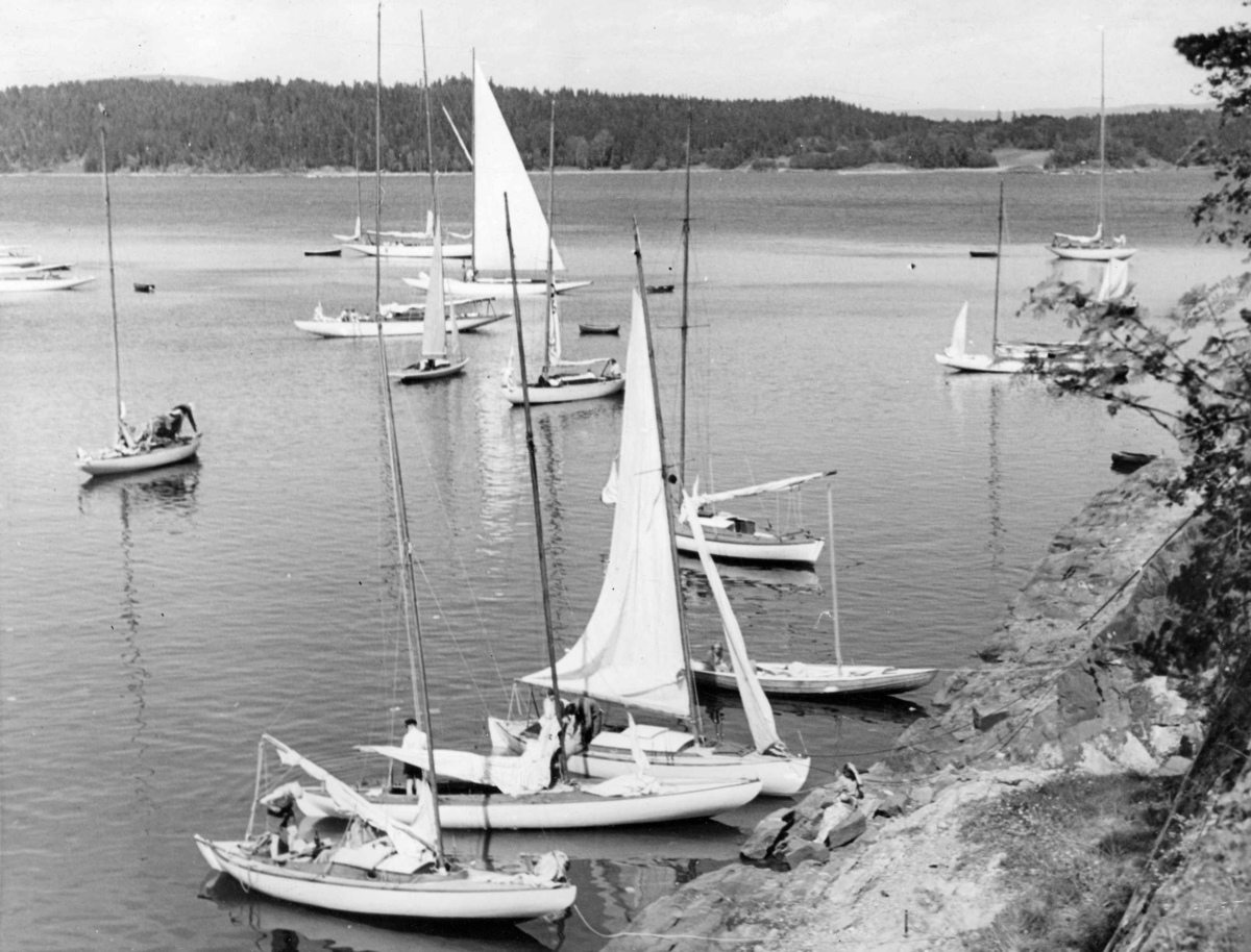 Anders Beer Wilse, Seilsport