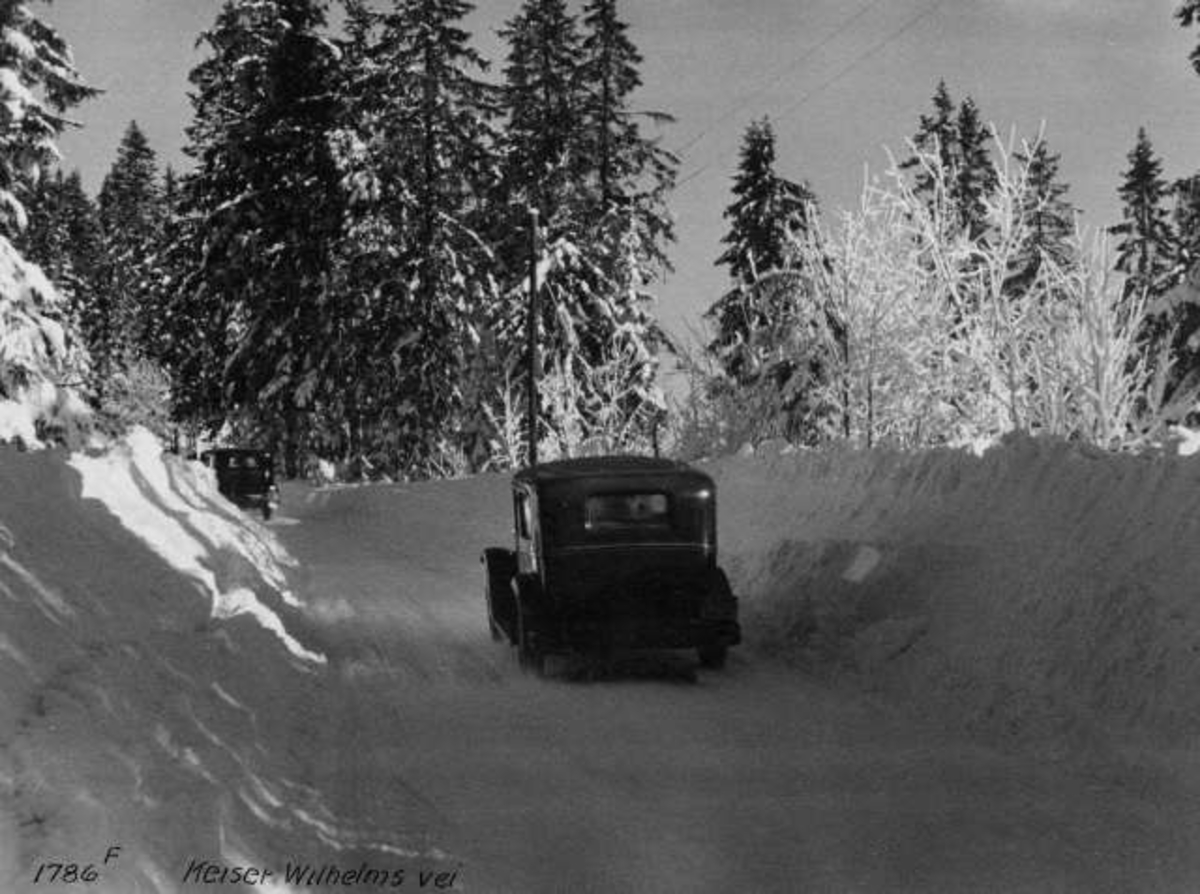 Anders Beer Wilse, -6196
