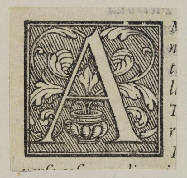 Unknown, Print