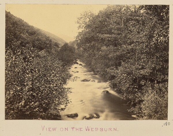Unknown, View on the Webburn