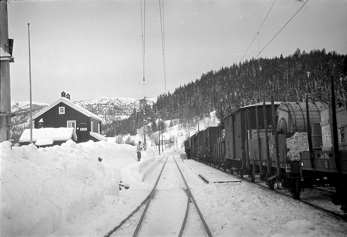 Anders Beer Wilse, Konv: Leica Statsbanene