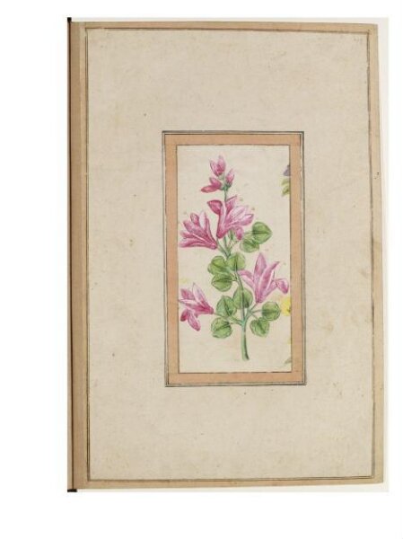 Unknown, Painting