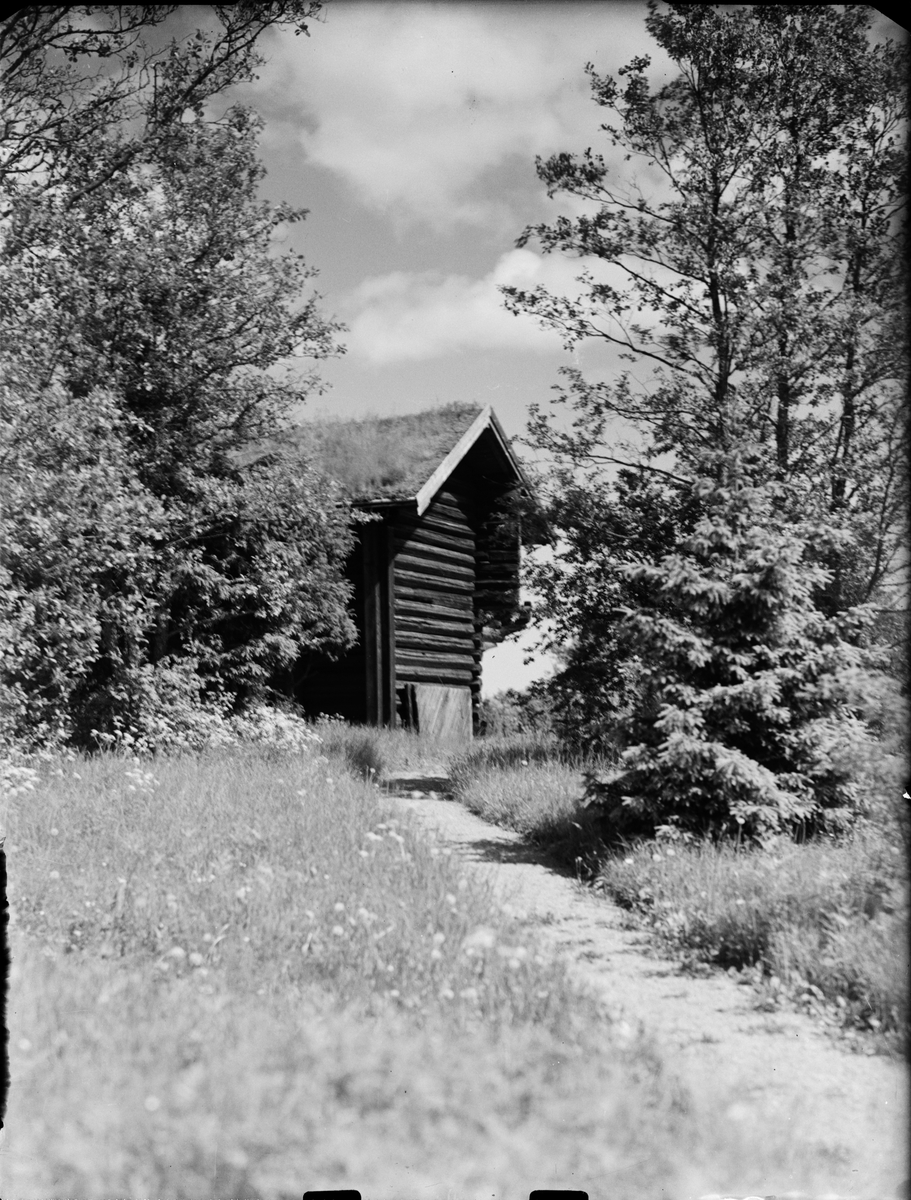Skötsner-Edhlund, Timmerbyggnad på Gammelhus, Östhammar, Uppland