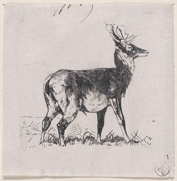 Charles Jacque, The Deer