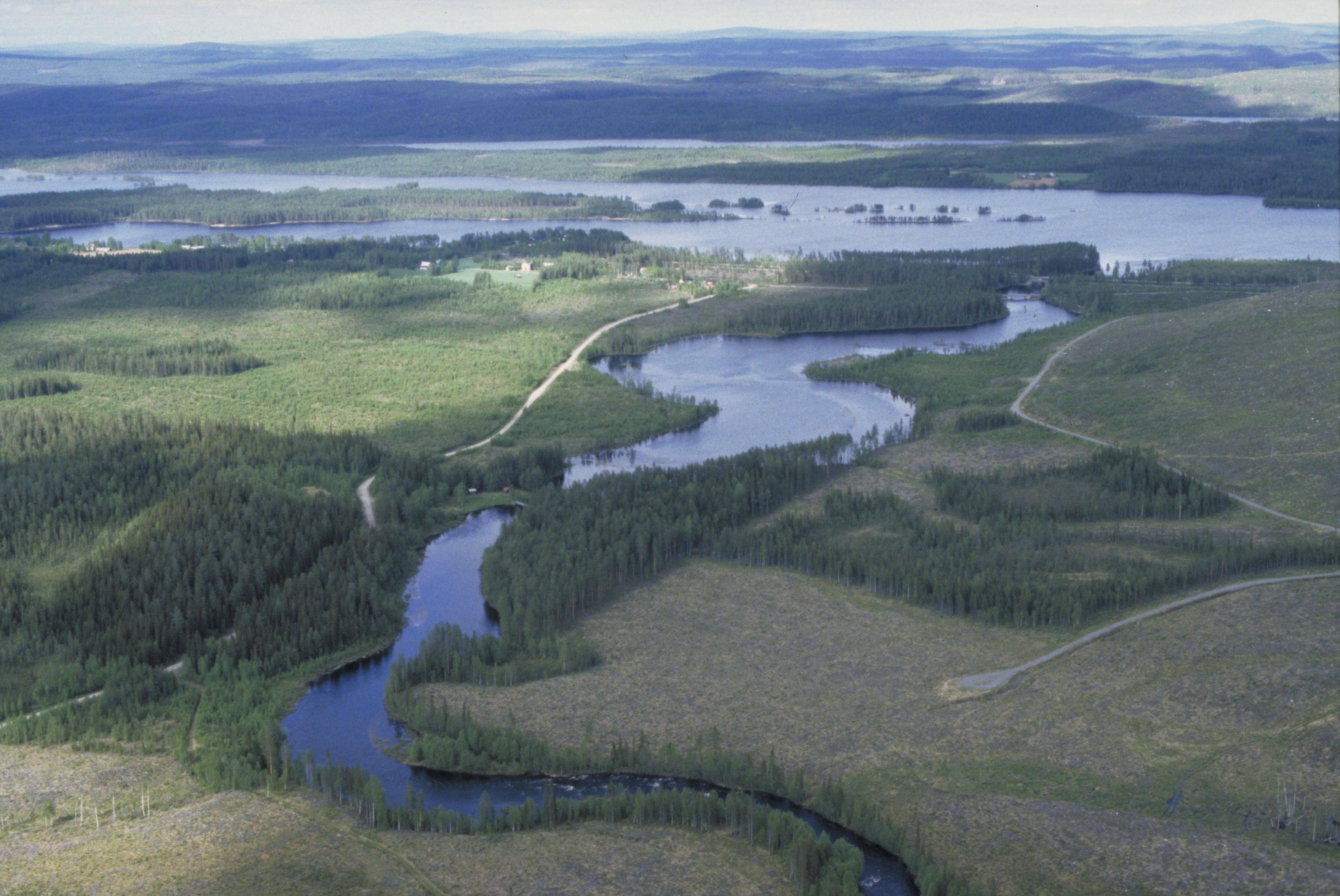 Jan Norrman, Lycksele 1656