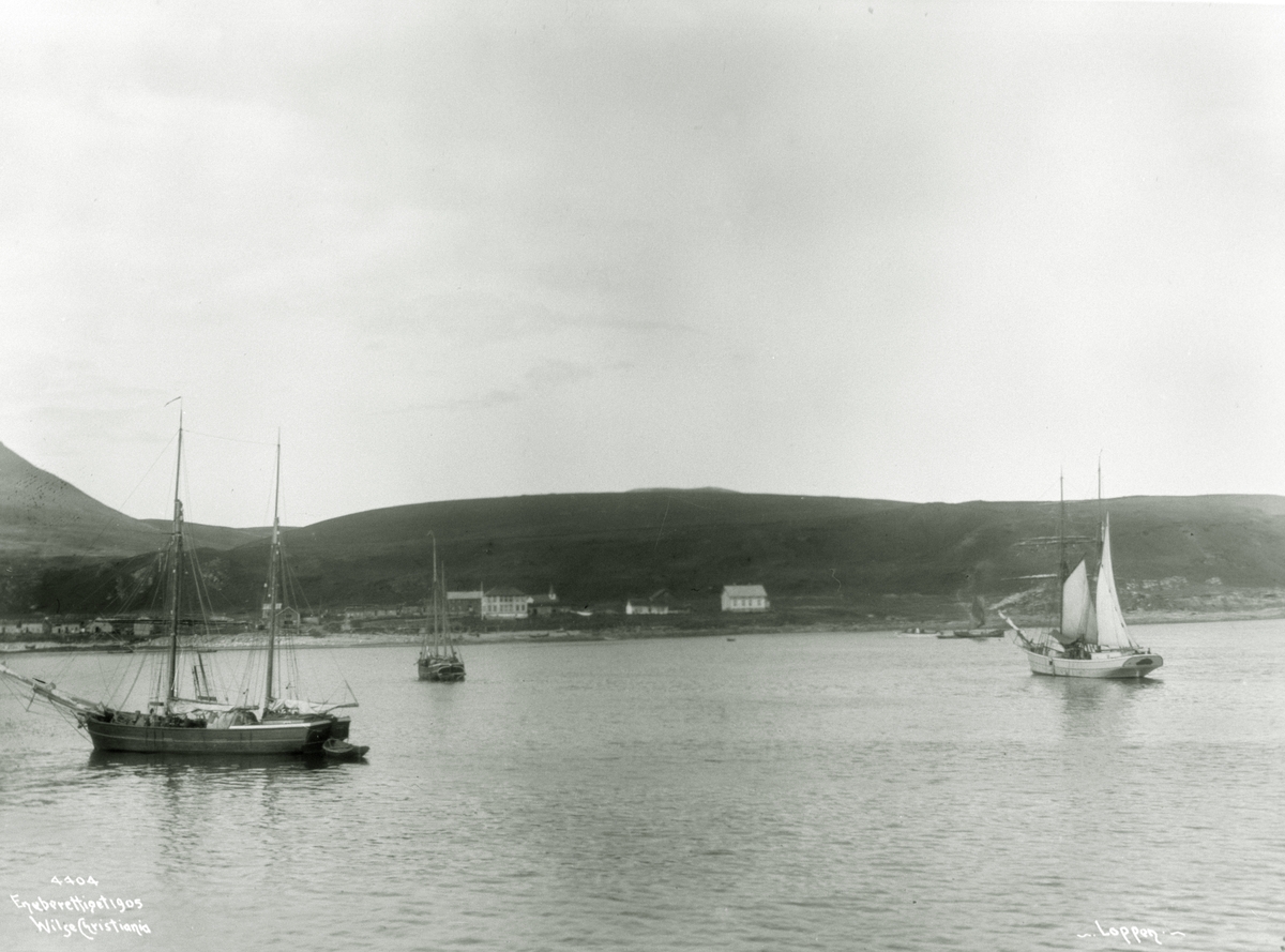 Anders Beer Wilse, Prot: Loppen fra fjorden 1906
