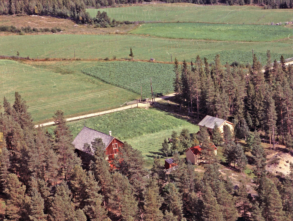 Widerøes Flyveselskap A/S, Gårdsbruk.
