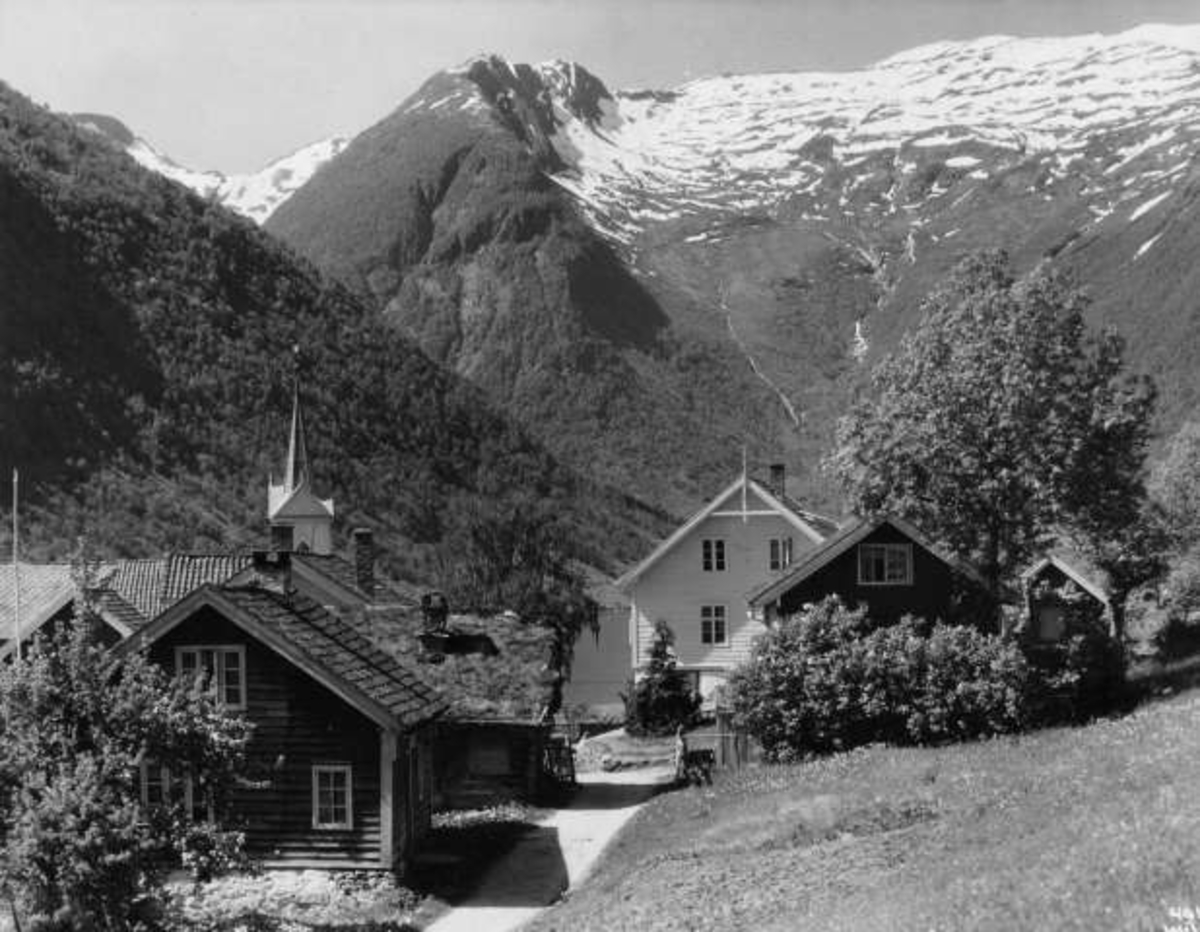Anders Beer Wilse, -6601