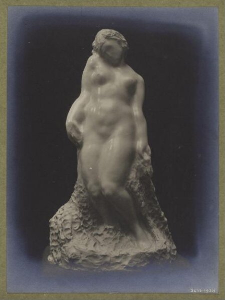 unknown, Photograph