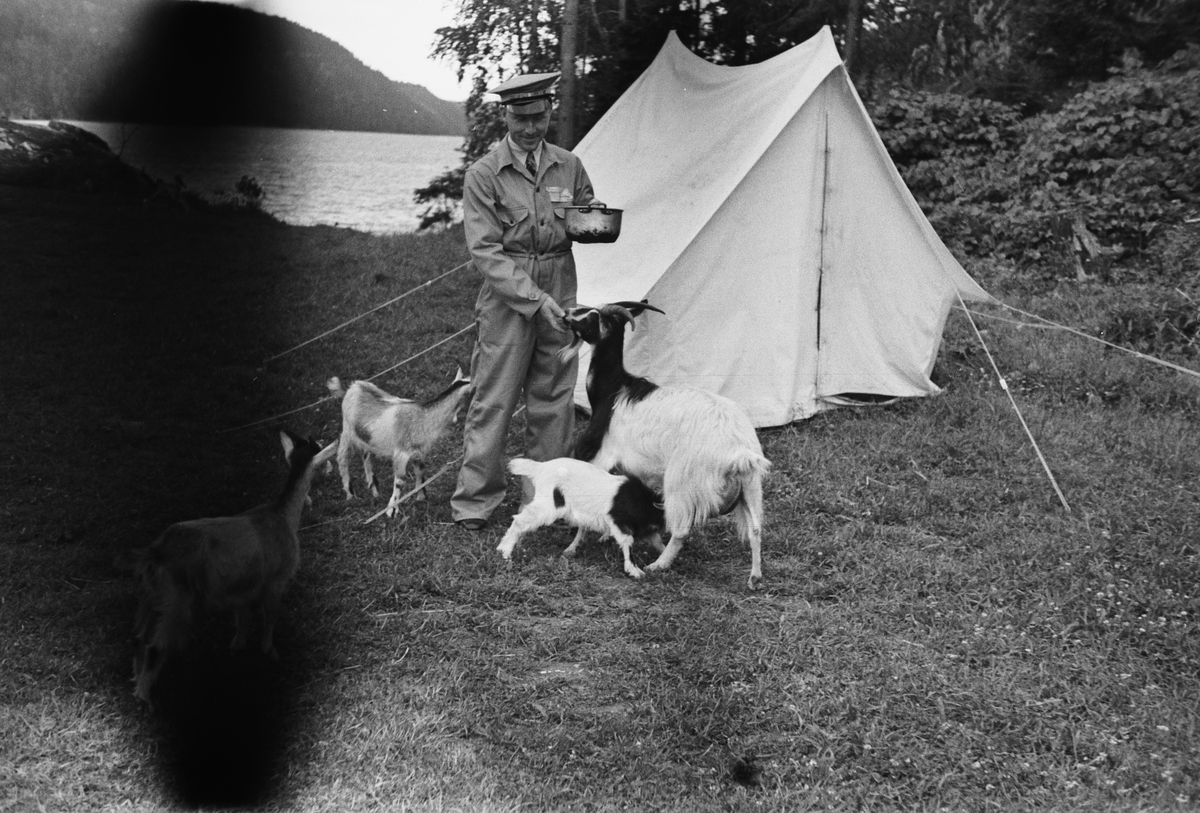 Anders Beer Wilse, Prot: Gjersöviken