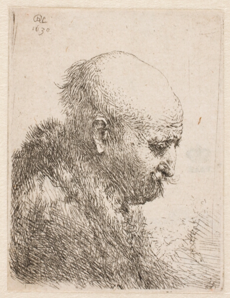 Rembrandt van Rijn, Skaldet mand i profil (Rembrandts fader?)