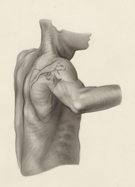 J Tinkelenberg, Shoulder joint