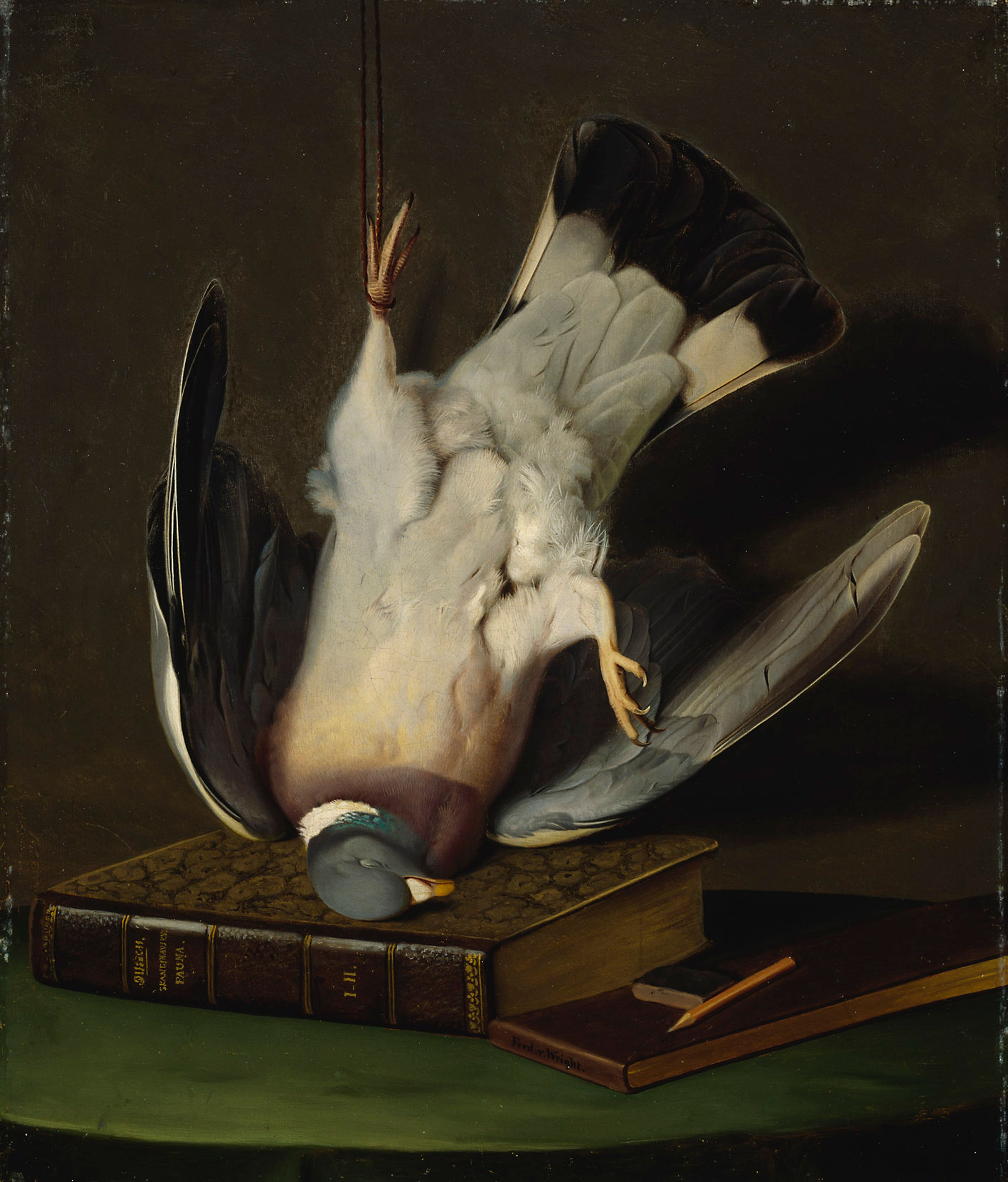 Ferdinand von Wright, A Dead Wood Pigeon