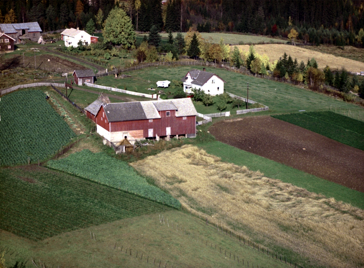 Widerøes Flyveselskap A/S, FLYFOTO HAGEN SØNDRE 376-6, VALLSET