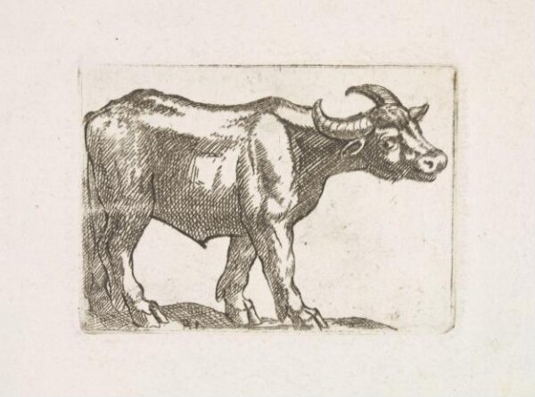 Unknown, Print