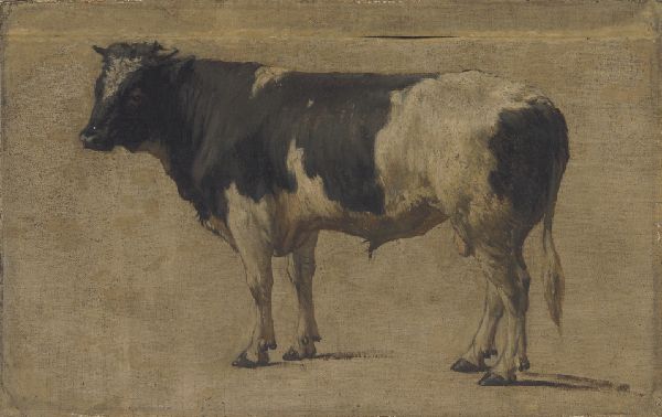 André Plumot, Bull