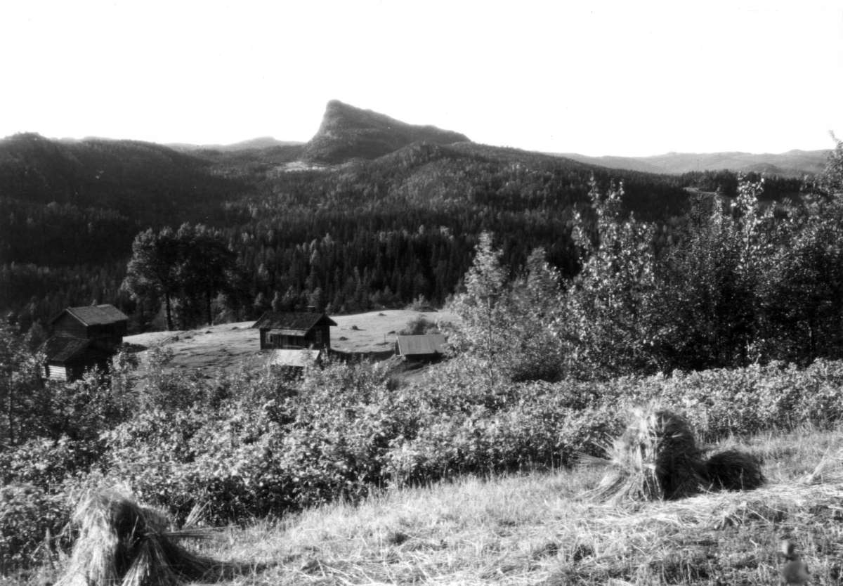 Hermann Christian Neupert, Landskap med skog og fjell i Rollag? 1930. Oversiktsbilde. Gårdstun.