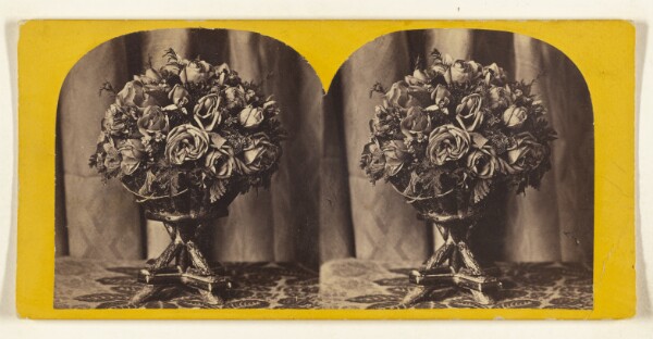 Edward and Henry T. Anthony & Co., The Birthday Bouquet.
