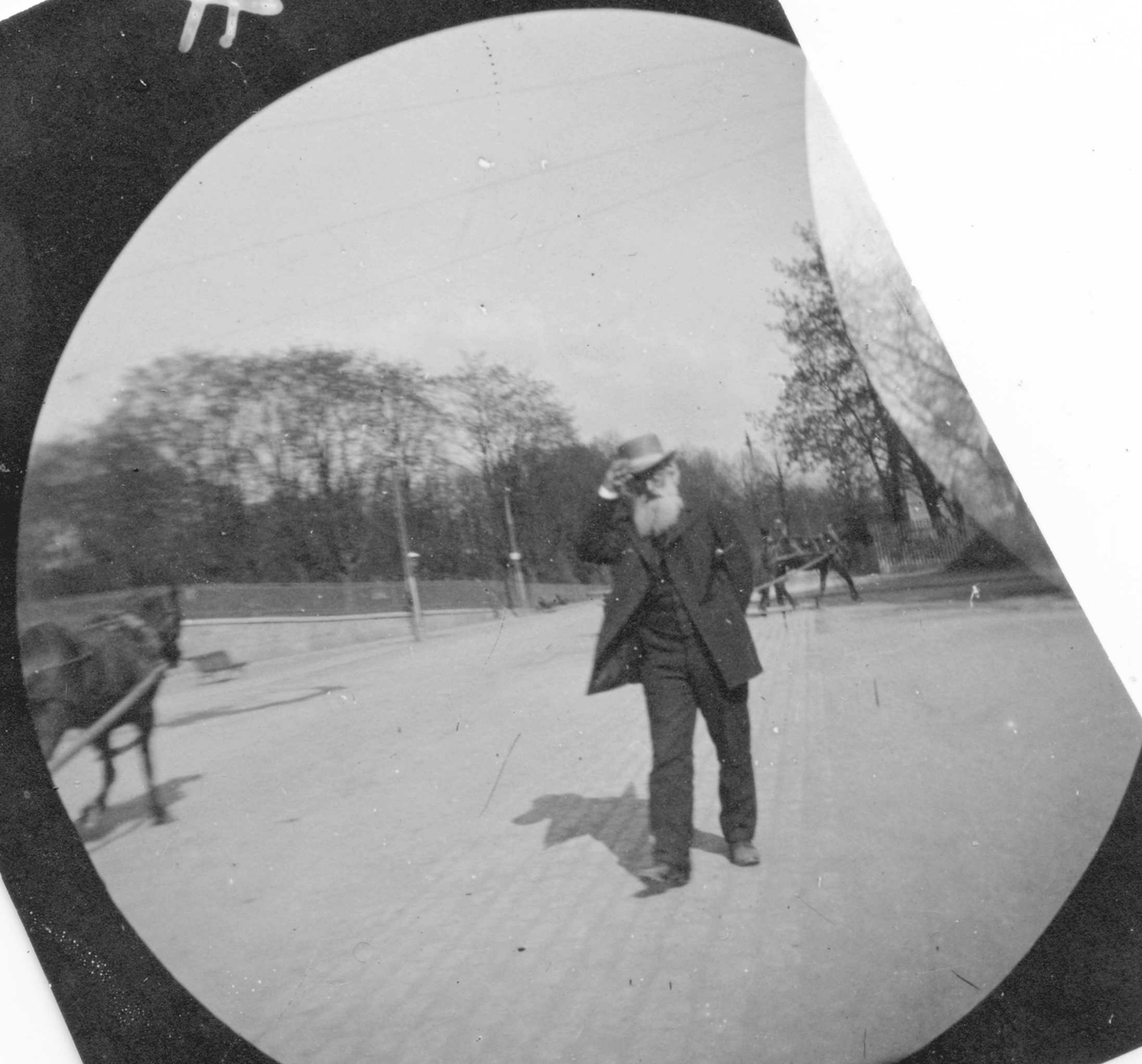 Fredrik Carl Mülertz Størmer, Professor Ernst Sars spaserer på vei i park. To hester og benk.