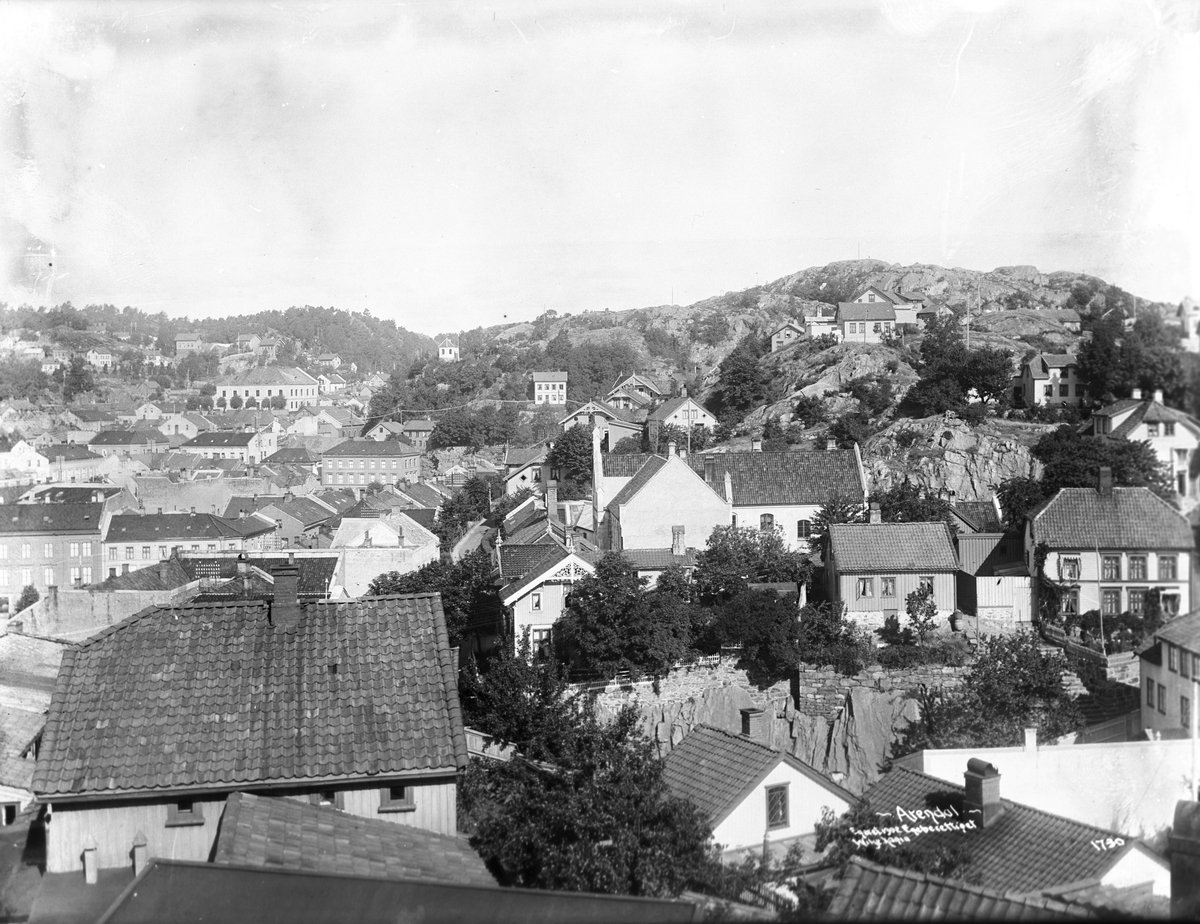 Anders Beer Wilse, Prot: Arendal - Panorama 1. Aug. 1902
