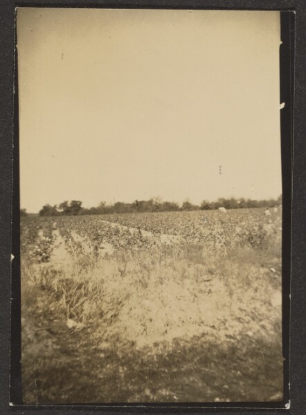Louis Fleckenstein, [Landscape]