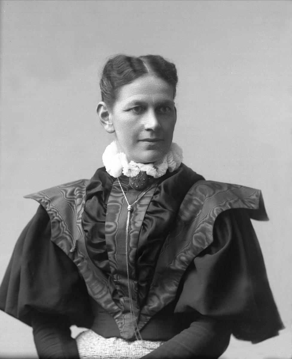 Gustav Borgen, NFB.34748